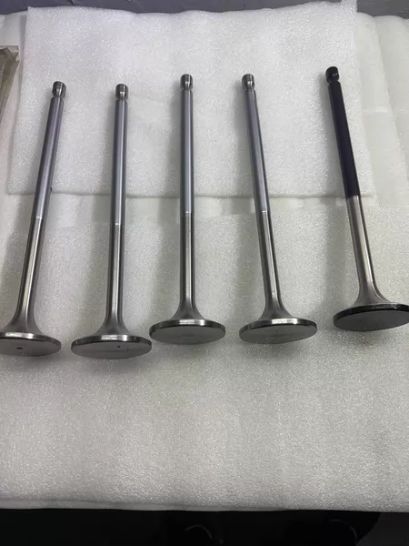 DAI HATSU E205859940Z Valve Exhaust Valve
