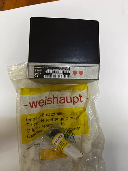 Weishaupt Servo Motor
