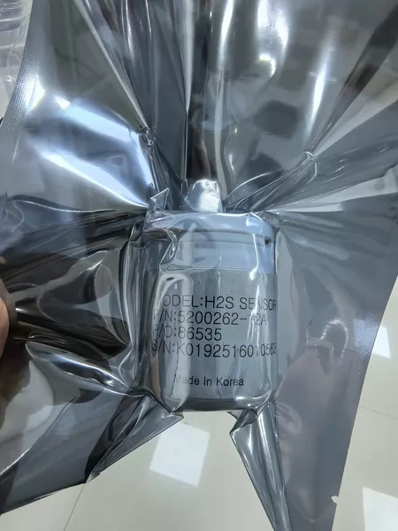 H2S Sensor Model 5200262-12A