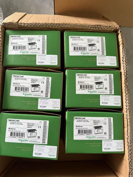 TM200C24R Schneider Electric Module