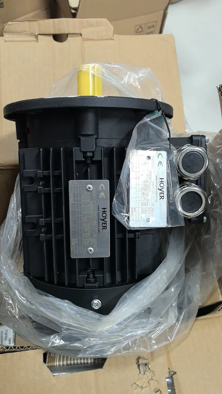HOYER HMA3-90S-4 Motor IP5