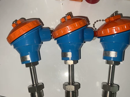 Sensor PT100 21198 21195 21196