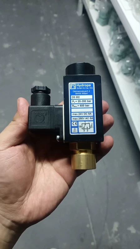 Hydropa Pressure Switch DS302