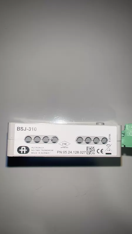 AUTRONICA BSJ-310 Module