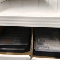 RAACO Assorter55 DK-4800 4X8-15