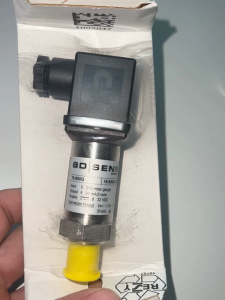 BD SENSOR Pressure Sensor 18.600G 0-250m