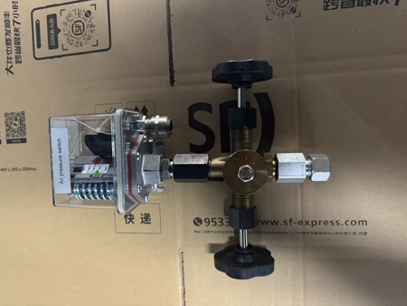 SAUER Pressure Switch Model FF4-32 GL DAH