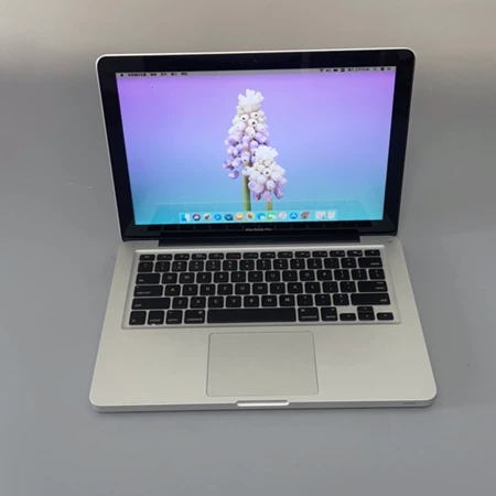 95 16+512 Apple/ Marine Spare Part