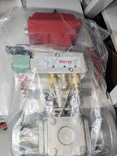 Bray 630250-21524536/H Valve 24V