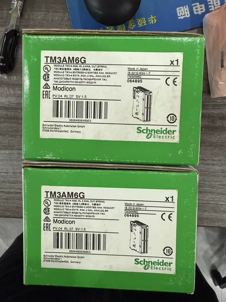 TM3AM6G Schneider Electric Module