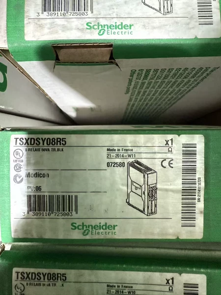 TSXDSY08R5 Schneider Electric Module