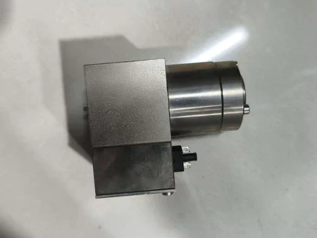 D-ESENT Explosion Proof Pump Model FEB 002/95-1