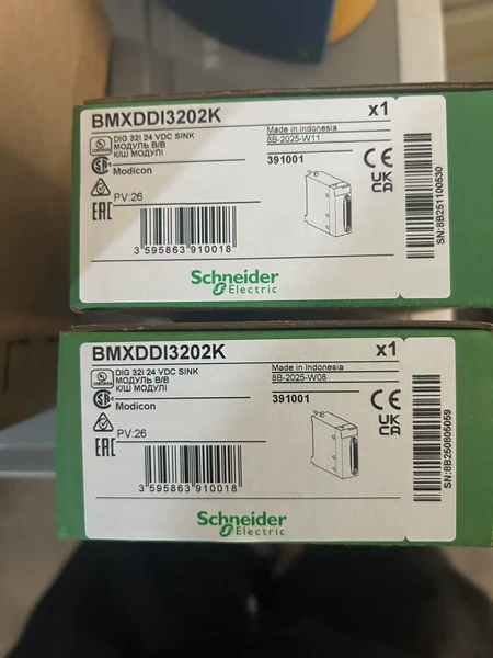 BMXDDI3202K Schneider Electric Module