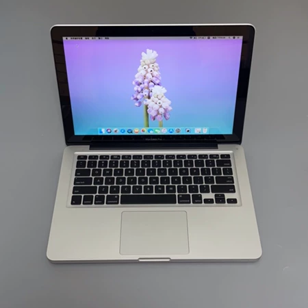 95 i7 16+512 Apple/ Marine Spare Part