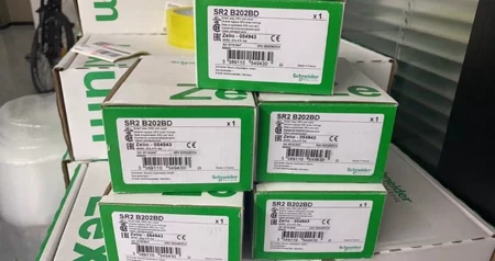SR2B202BD Schneider Electric Module