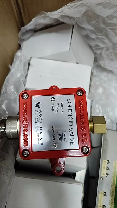 WOOJOO M&E SV17A Solenoid Valve 220VAC