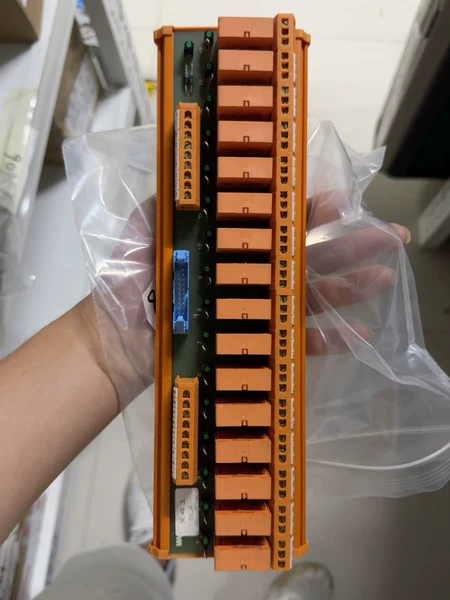 Module Model RSM 16R 24VDC GEM