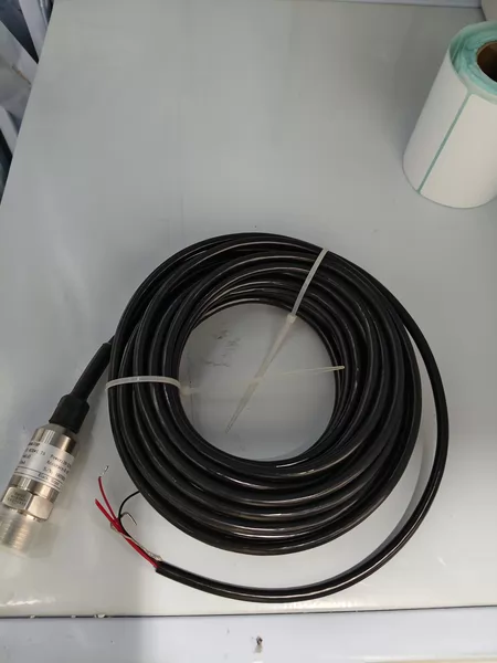 PT2131-M20*1.75 Pressure Transmitter