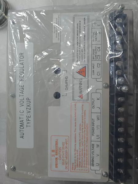 NISHISHIBA Motor AVR