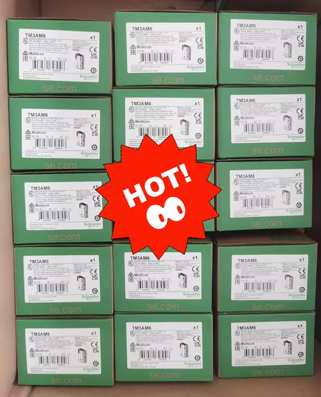 Schneider Electric TM3 Module TM3AM6