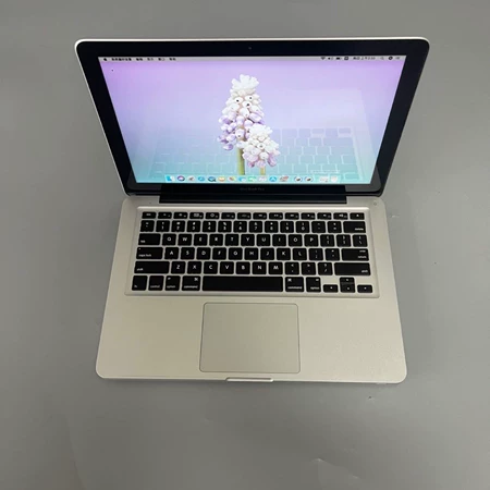 95 16+512 Apple/ Marine Spare Part